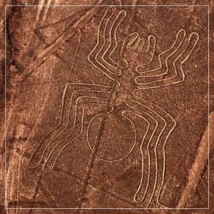 hormiga-lineas-de-nazca