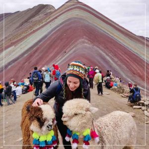 montana-de-colores-foto-llamas