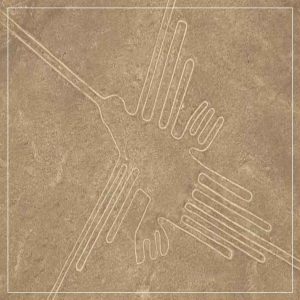 picaflor-lineas-de-nazca